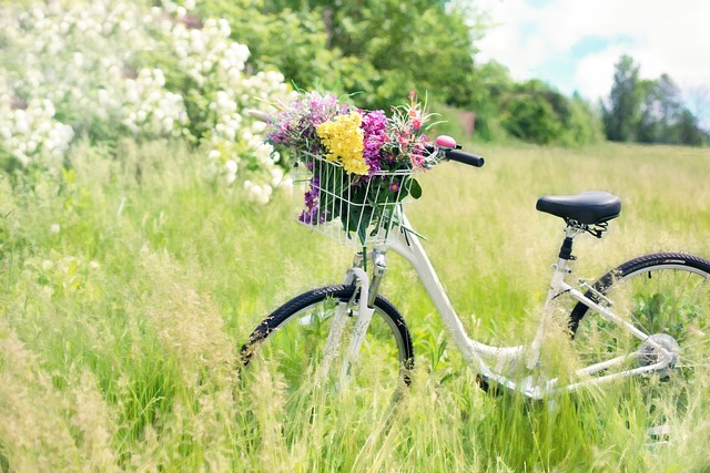 De ultieme gids voor het kiezen van de perfecte damesfiets